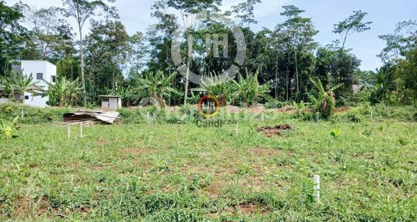 Kavling di KP REJOSARI ~ WONOLOPO MIJEN Semarang 1