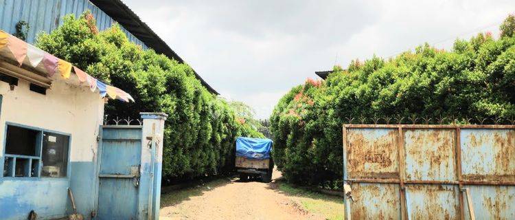 Tanah Dan Bangunan Gudang Di Curug Kabupaten Tangerang 1