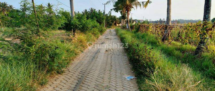 Tanah Darat Dan Sawah Kering Di Panimbang Blok Huni 1