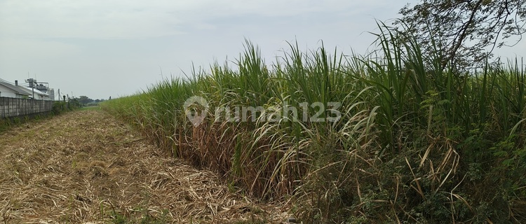 Tanah Industri Murah dan Strategis di Jombang 1