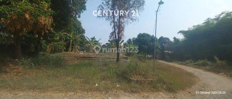 Tanah Kosong Lokasi Strategis Di Jl Raya Plumbon  1