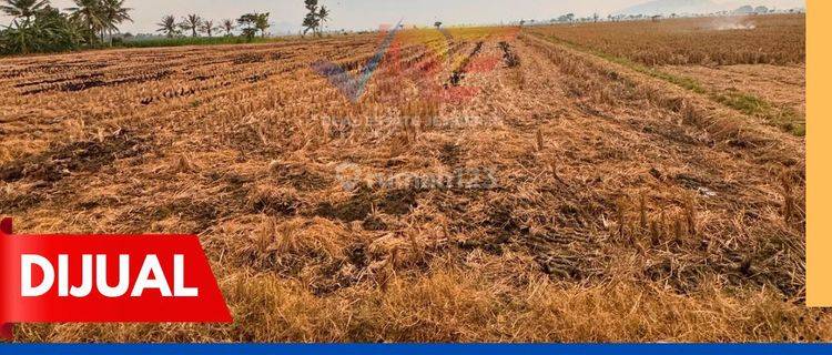 LAHAN PINGGIR JALAN CANGKRING JENGGAWAH JEMBER 1