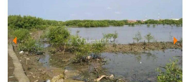 Tanah Empang dan Sawah bekas tambak garam di Indramayu  1