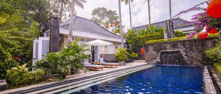 Gorgeous Stylish Freehold Villa With River View In Fashionable Tumbak Bayuh Vl2283 1