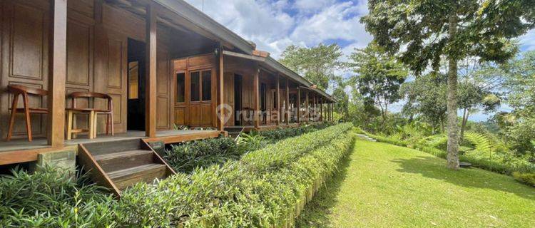 Freehold Wooden House With Amazing View In Gianyar Vl2721 1