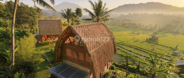 Amazing Quite And Cozy With Agung Mountain View In Karangasem Vl2647 1