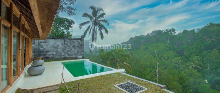 New Jungle View Mini Resort Six Villas For Lease In Ubud Vl2945 1