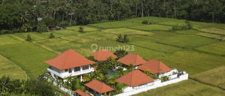 Beautiful Roi Freehold Estate Surrounded By Nature In Ubud Vl2768 1