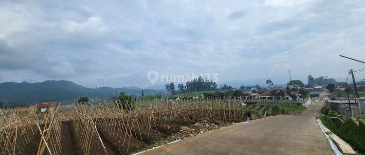 Dijual Tanah Siap Bangun di Ciwidey Bandung Harga Terbaik 1