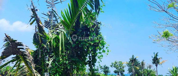 Dijual Tanah Kavling zona Pariwisata di Pantai Kedungu 1