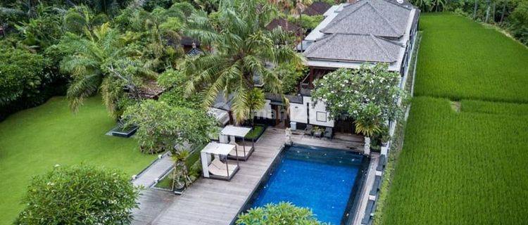 Villa Luxury Selangkah Ke Living World Mall Dan Pantai Sanur 1