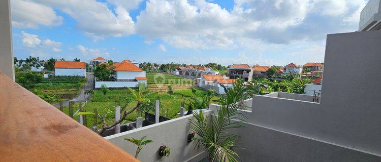 Villa Baru 3 Kamar View Sawah Di Padonan Canggu 1