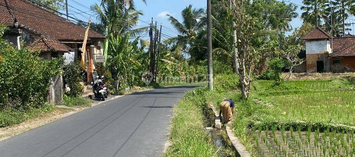 Land For Long Lease at Central Ubud 1