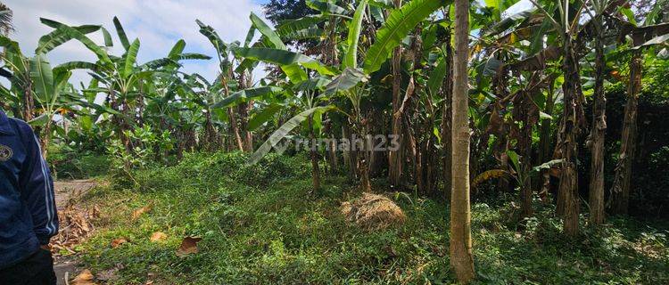 Dijual Tanah Kavling Perumahan Di Bongan Tabanan 1