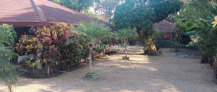 Murah ! Rumah Hitung Tanah di Bukit Raya Ciumbuleuit Bandung 1