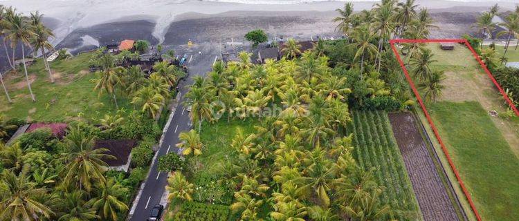 Tanah Loss Pantai di Kerambitan Tabanan Bali 1