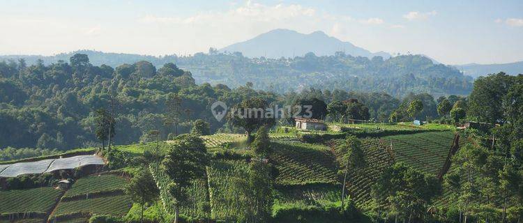 Kavling Siap Bangun di Emerald Hill Resor Dago Pakar Bandung 1