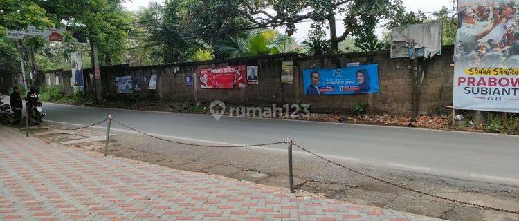 Tanah Nempel Sekolah Atalia & Sebrang Candlr Tree 1