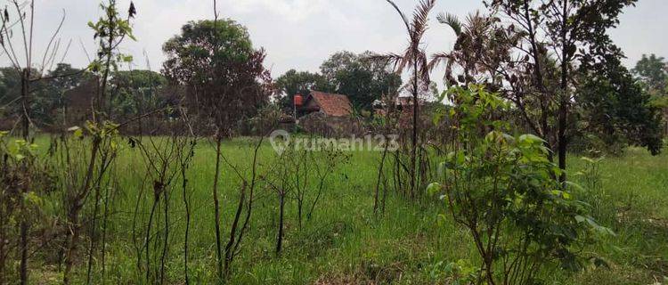 Tanah Strategis 1,4 Ha di Jelupang, Cocok Untuk Sekolah ,work shop, Pengembangan dll 1