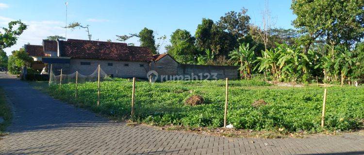 Dijual Tanah Bendiljati Sumbergempol Tulungagung Murah Cepat B.u 1