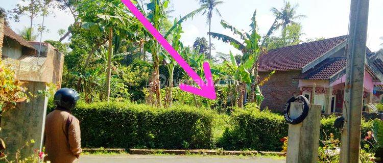 Tanah di Ngebruk Sumberpucung Malang Dijual Murah Cepat B.u 1
