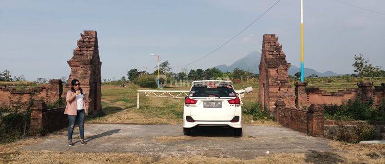 Tanah Jl Raya Kertosari Kutorejo Mojokerto Dijual Murah Cepat B.u 1