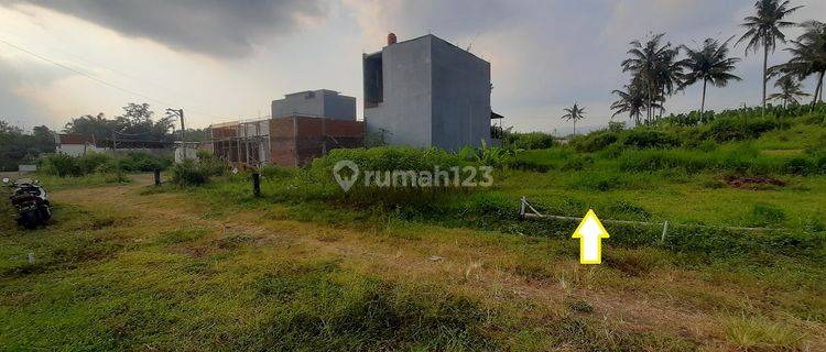 Tanah SHM Murah Sumberpasir Pakis Malang Jual Cpt B.u Dkt Jl Raya 1