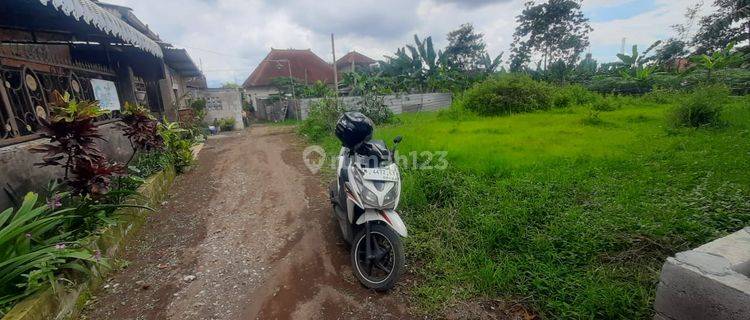 Tanah Murah Ardimulyo Singosari Malang Song2 Dijual Cepat B.u SHM 1