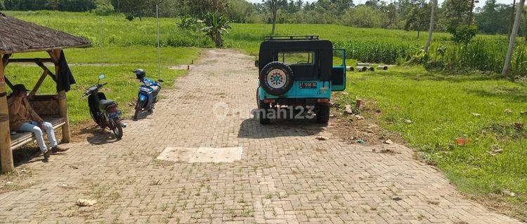 Tanah Kavling Tulusbesar Tumpang Malang Murah Pinggir Jalan Aspal 1
