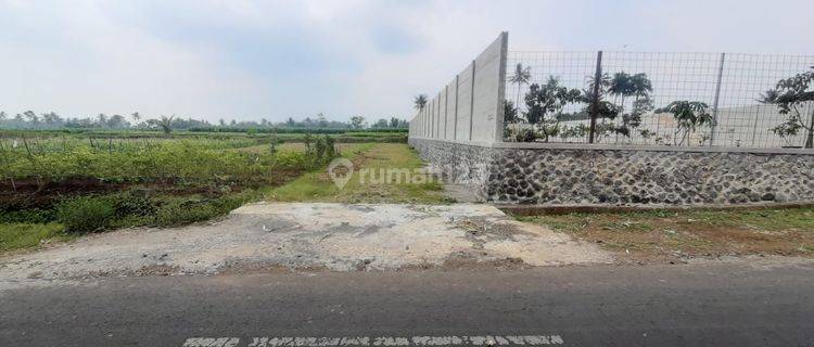 Promo Tanah Kavling Murah Malang Wringinsongo Tumpang Jalan Aspal 1