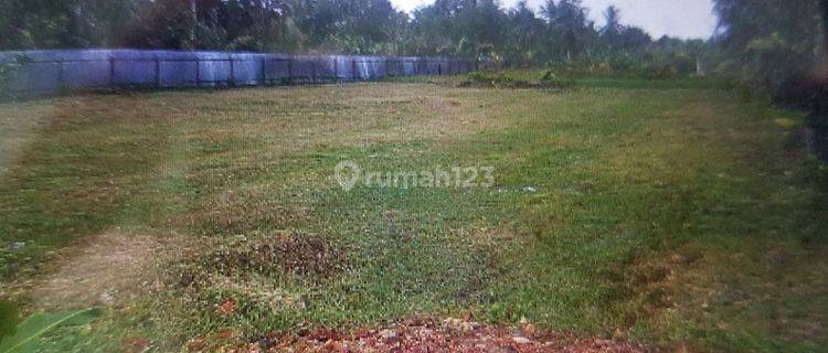 Dijual Tanah Teritip Pinggir Jalan Poros Teritip Mulawarman 1