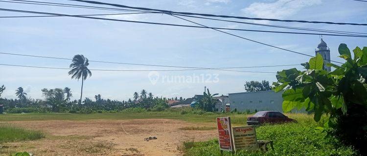 Disewakan Tanah 1,6 Ha Lebar 54m Datar Pinggir Jalan Poros Lamaru 1