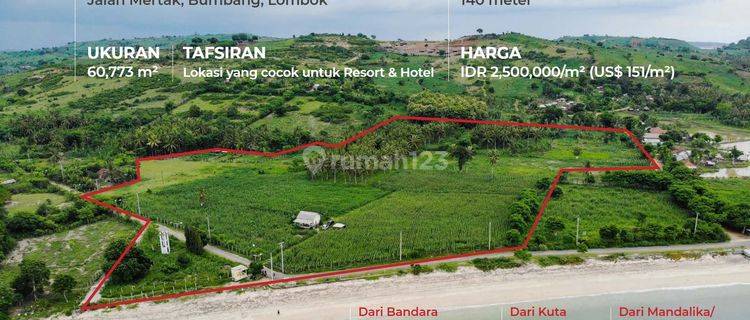 Tanah SHM 60.773 m² Pantai Blumbang Lombok 1