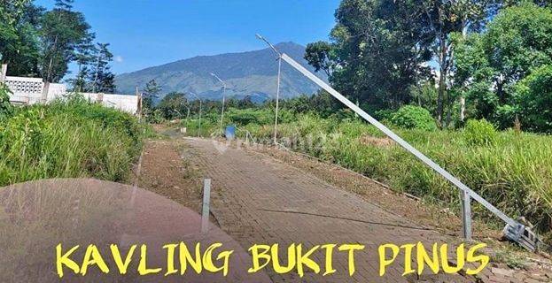 Tanah Kavling Murah Ketindan Lawang Malang View Gunung Arjuno 1