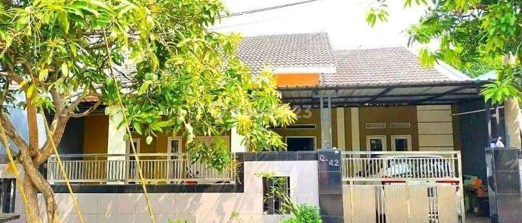 Rumah Murah Perum Kotabaru Driyorejo Gresik Dijual Cepat B.u Poll 1