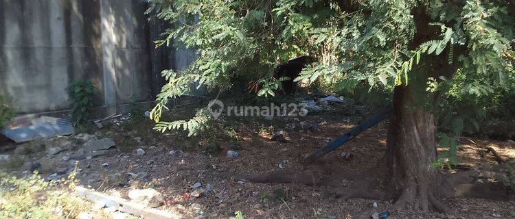 Tanah datar siap bangun dalam kota dengan luas 350 m2 di labuan bajo. Bagus untuk rumah pribadi 1