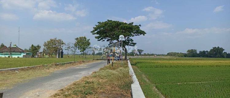 Tanah SAWAH MURAH tepi jalan desa di Tlobong Delanggu Klaten  1