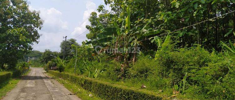 Tanah Luas 1110 m² Kebon Jati Dekat Pabrik Esemka Nogosari  1