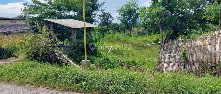 Tanah Pekarangan Lokasi Wisata Janti Klaten 1