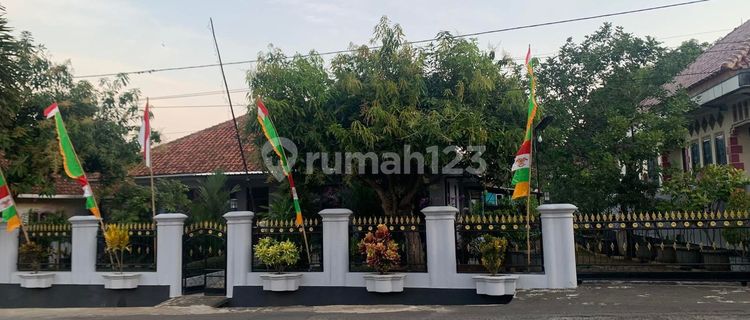Rumah Terawat & Asri 770 M², Utara Jl. Patimura, Kertaungaran # 1