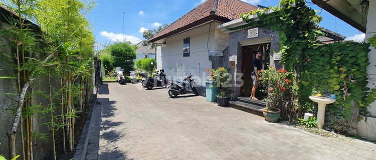 Guest House Rumah Kos Bagus hanya 5 menit ke Seminyak 1