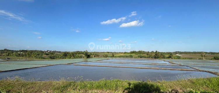 Hanya 300 meter ke Pantai Pasut Tabanan Luas 2140m² 1