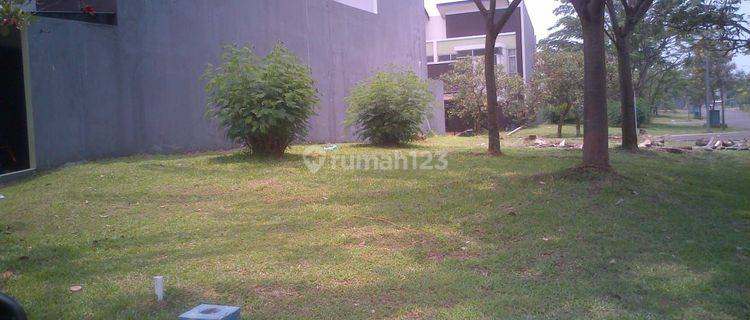 The Icon Cluster Cosmo Bsd City 1