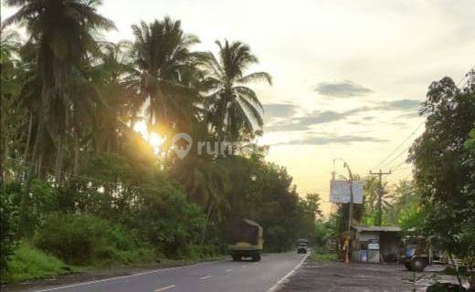 BEACHFRONT COCOK DIBANGUN VILLA, CAFE & RESTO Tanah Tepi Raya Denpasar - Gilimanuk Pekutatan Jembrana Bali 1