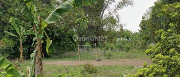 Dekat Pelabuhan Kavling Siap Bangun Banyuajuh Kamal Madura 1