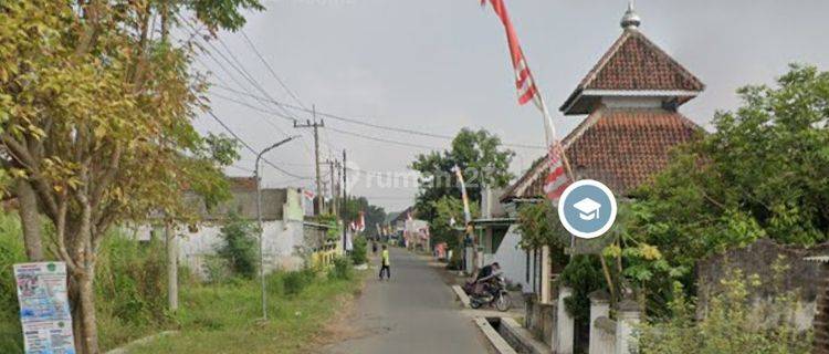 COCOK UNTUK PERUMAHAN Kavling Tanah 15.8Ha Mancar Peterongan Jombang Murah 250rb/m2 1