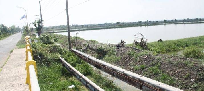 Tanah Raya Deandles Sidayu Gresik 8.1ha Akses Jalan Propinsi Cocok Dibangun Pabrik 1