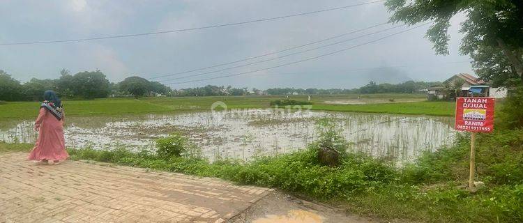 Dijual Cepat Tanah Hook Pinggir Jalan Langsung Hadap Jalan Desa Kidongdong 1