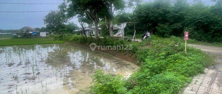 Tanah Pinggir Jalan Termurah Kp. Kidong dong Mekarsari Serang 1