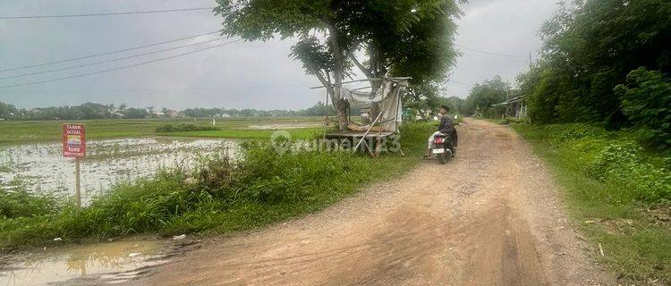 Dijual Cepat Tanah Kidongdong Pinggir Jalan 1
